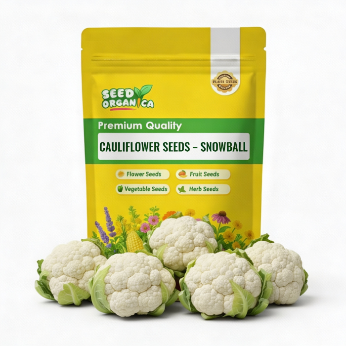 Cauliflower Seeds – Snowball