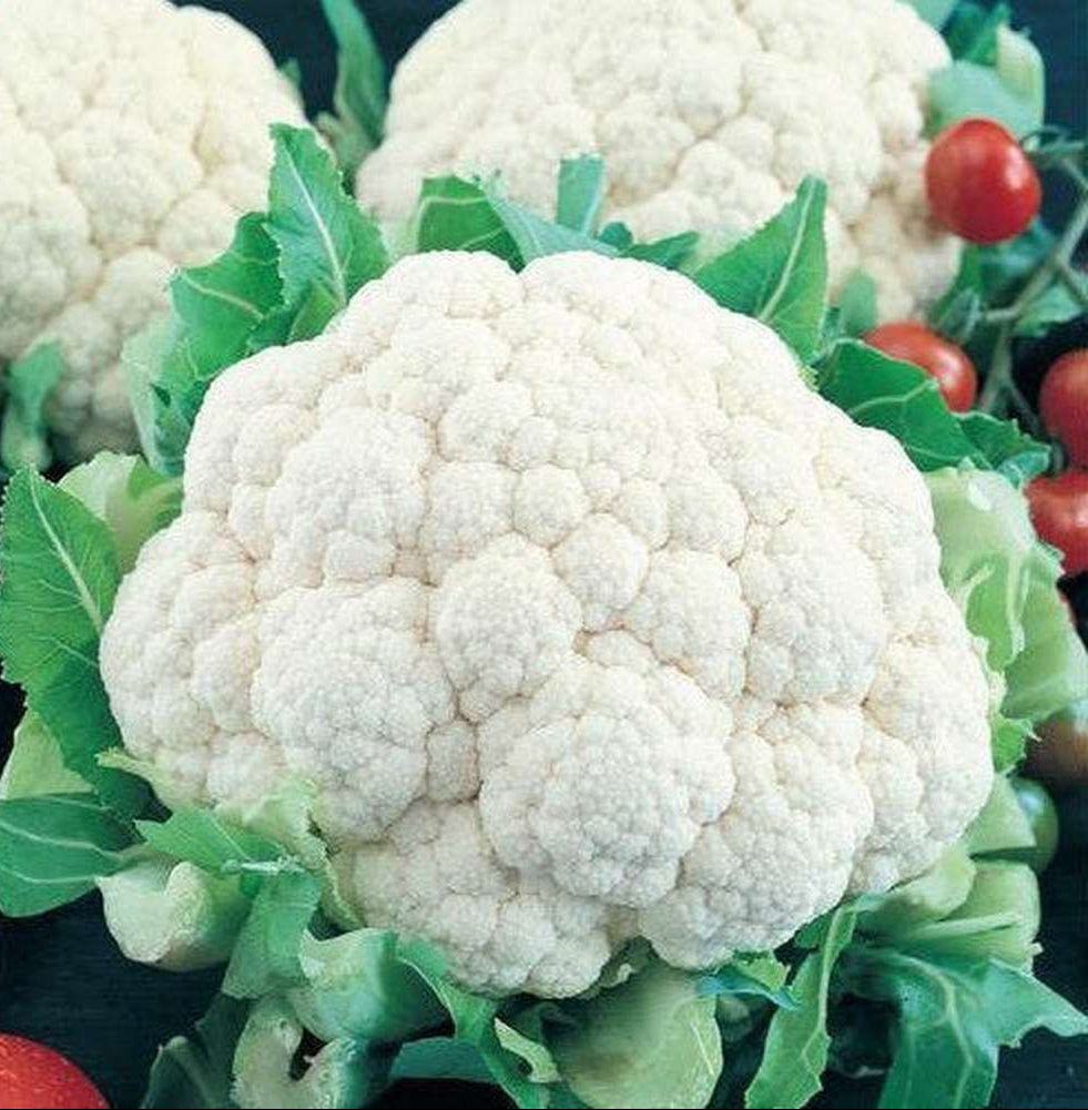 Cauliflower Seeds – Snowball

