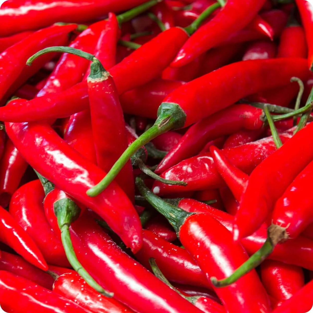 Cayenne Pepper Seeds – Red Thick