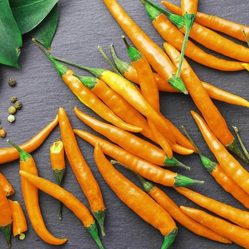 Cayenne Pepper Seeds – Heirloom