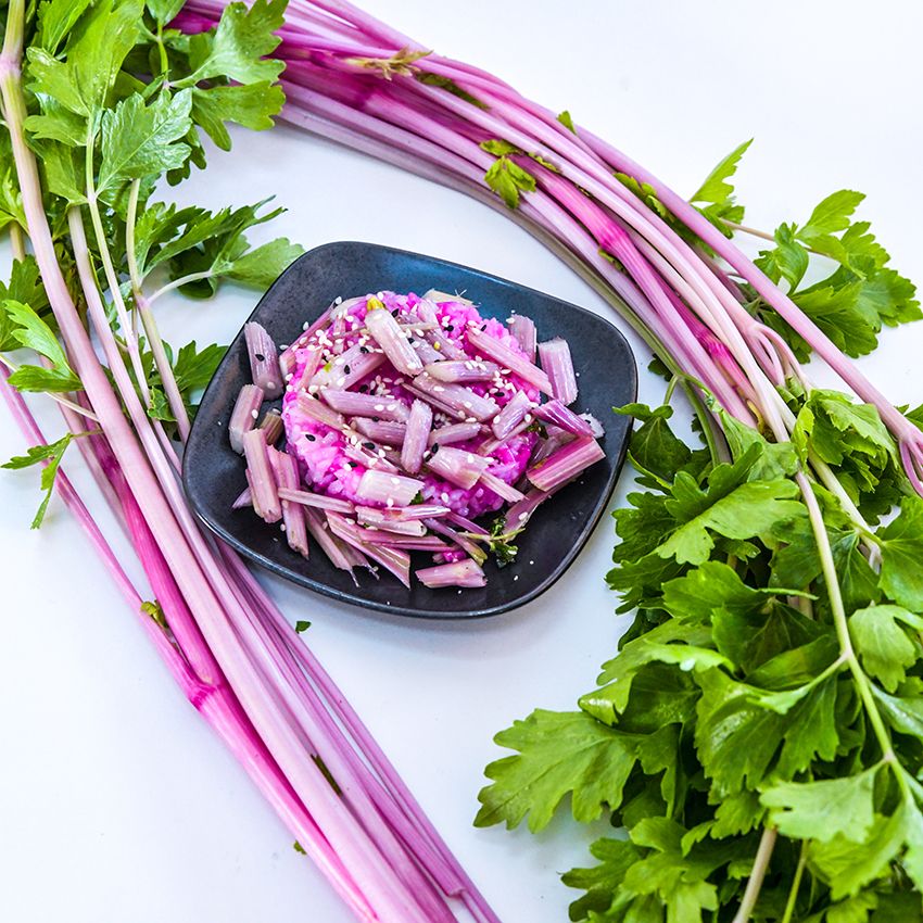 Celery Seeds – Pink Plume

