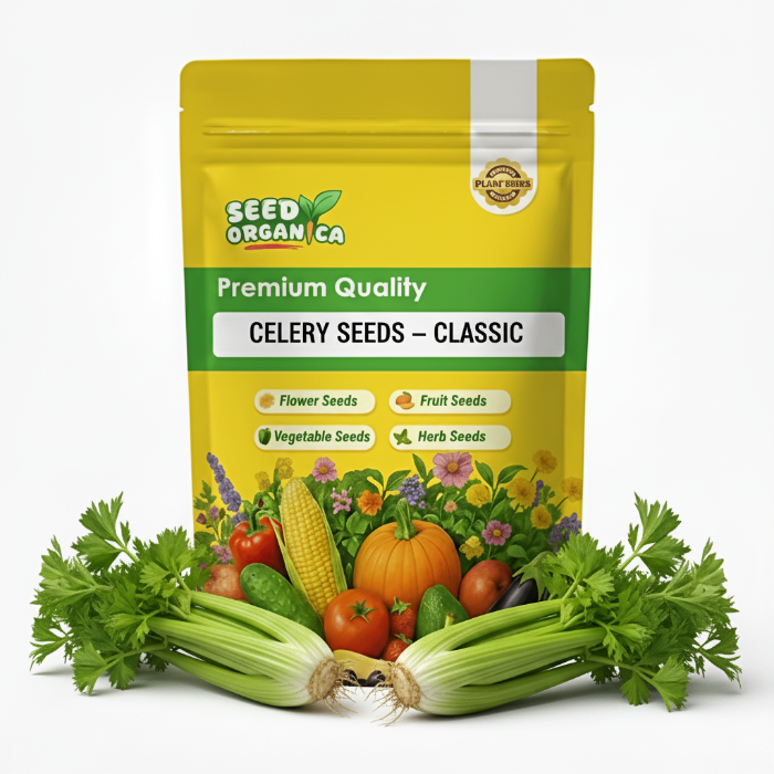 Celery Seeds – Classic