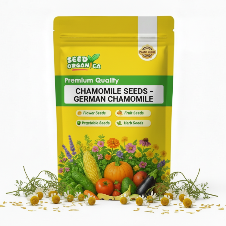 Chamomile Seeds – German Chamomile