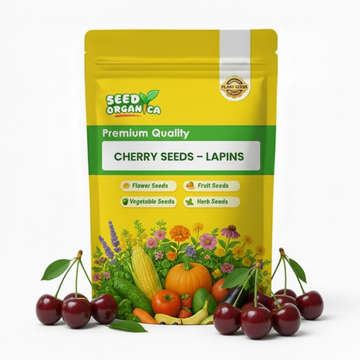 Cherry Seeds – Lapins