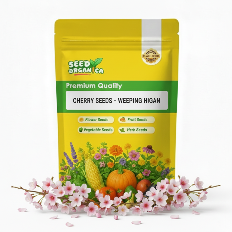 Cherry Seeds – Weeping Higan