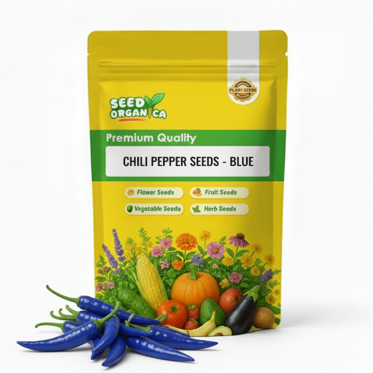 Chili Pepper Seeds - Blue