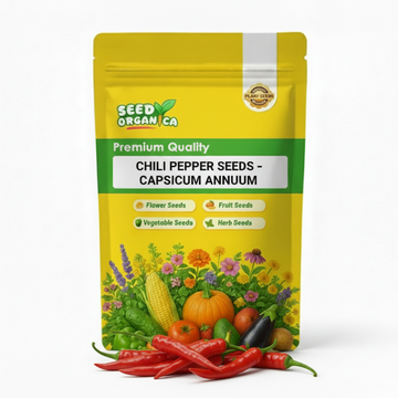 Chili Pepper Seeds – Capsicum annuum