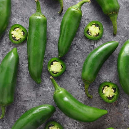 Chilli Pepper Seeds - Jalapeno