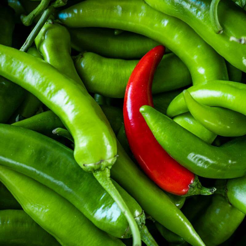 Chilli Pepper Seeds - Mix Serrano