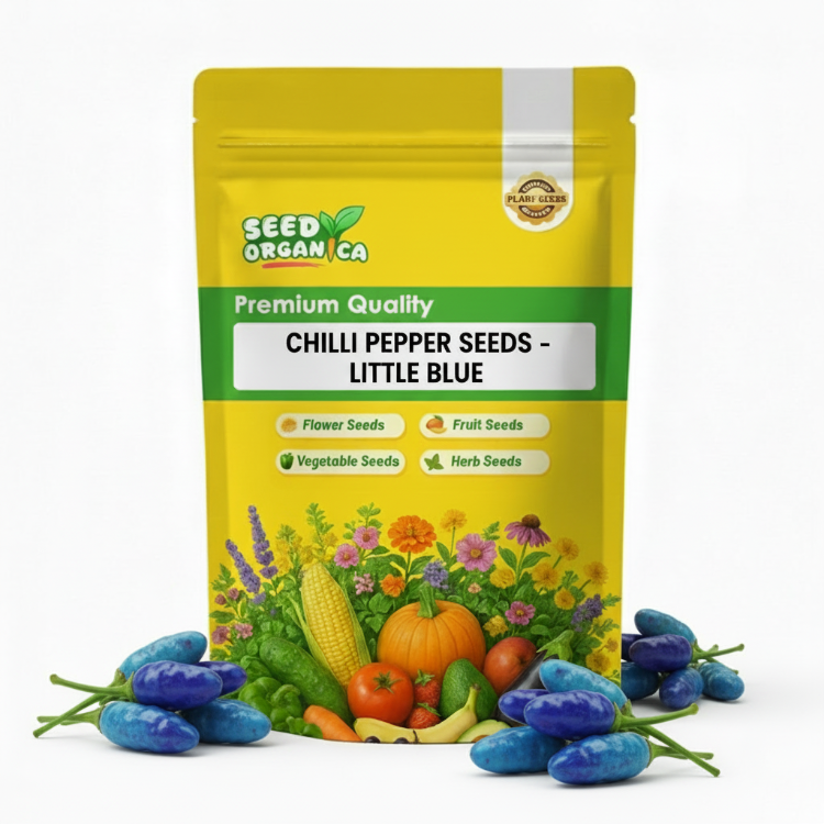 Chilli Pepper Seeds -  Little Blue