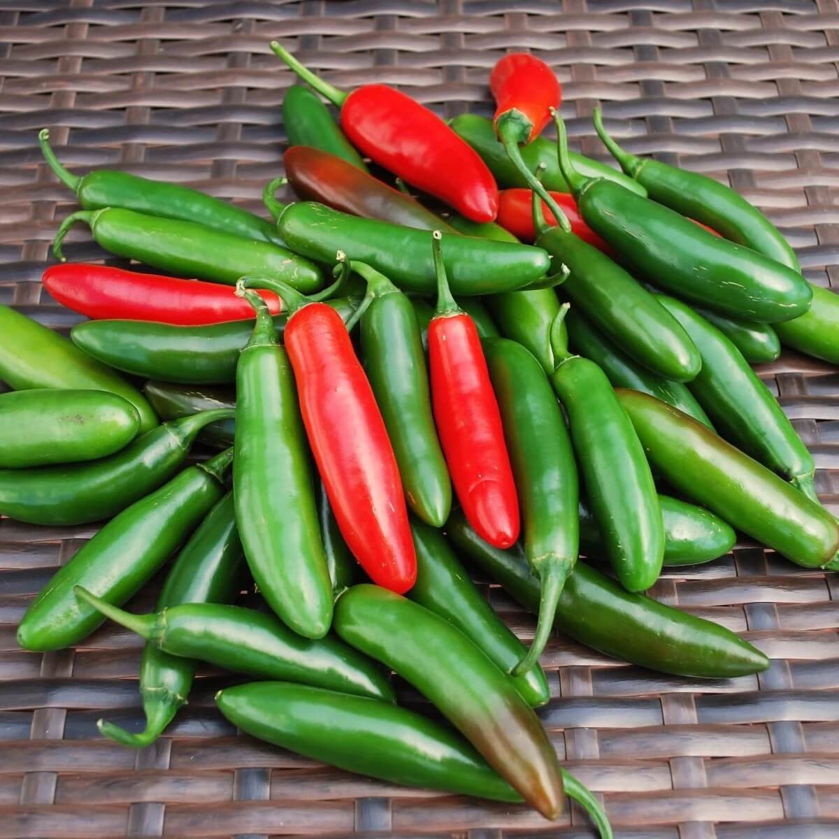 Chilli Pepper Seeds - Mix Serrano