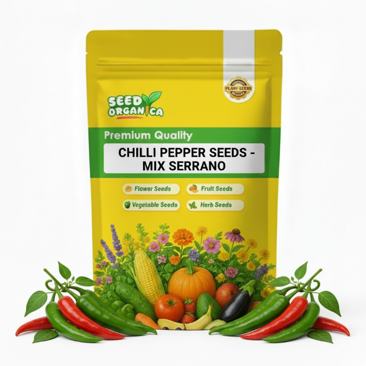 Chilli Pepper Seeds - Mix Serrano