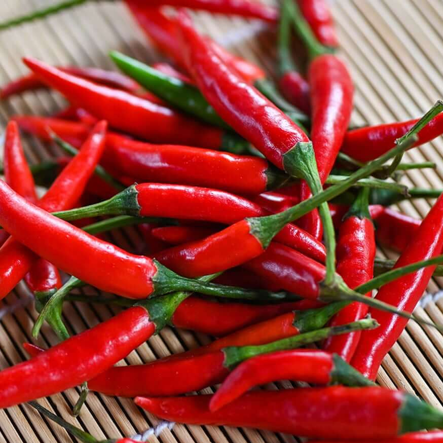 Chilli Seeds - Red 