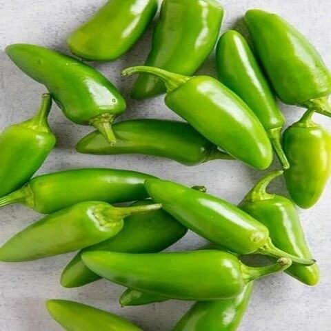 Chilli Seeds - Bullet