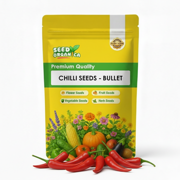 Chilli Seeds - Bullet
