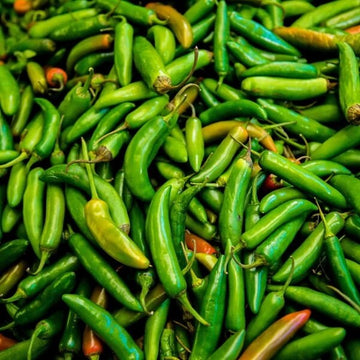 Chilli Seeds - Mix Serrano