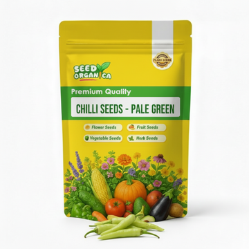 Chilli Seeds - Pale Green