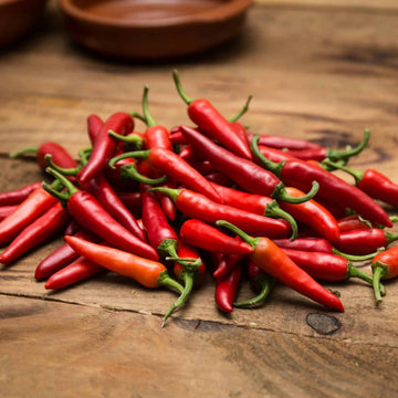  Chilli Seeds - Rawit