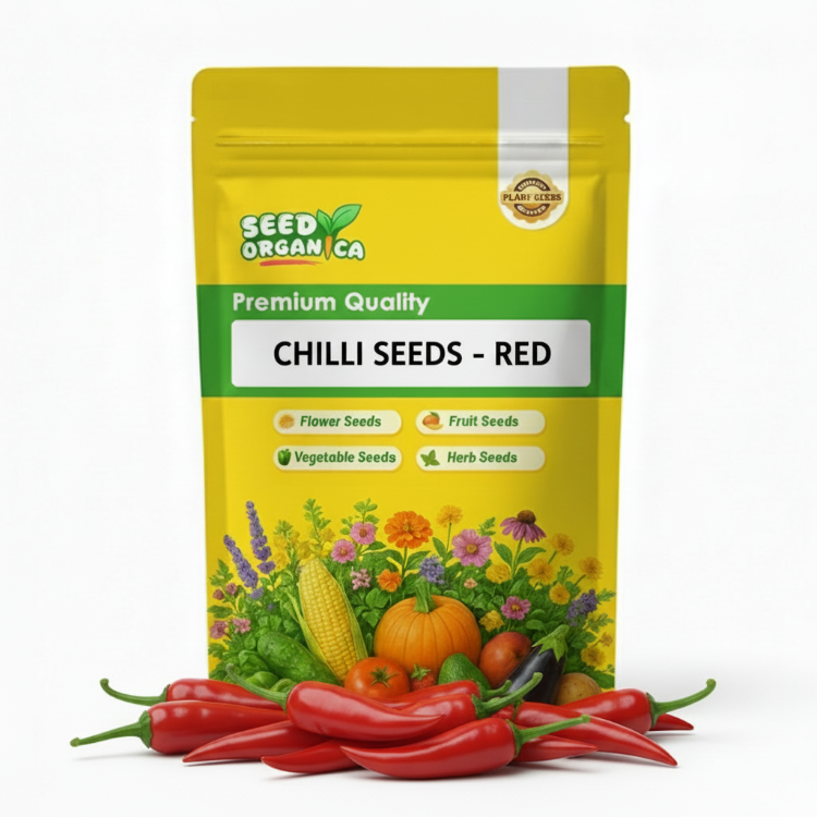 Chilli Seeds - Red