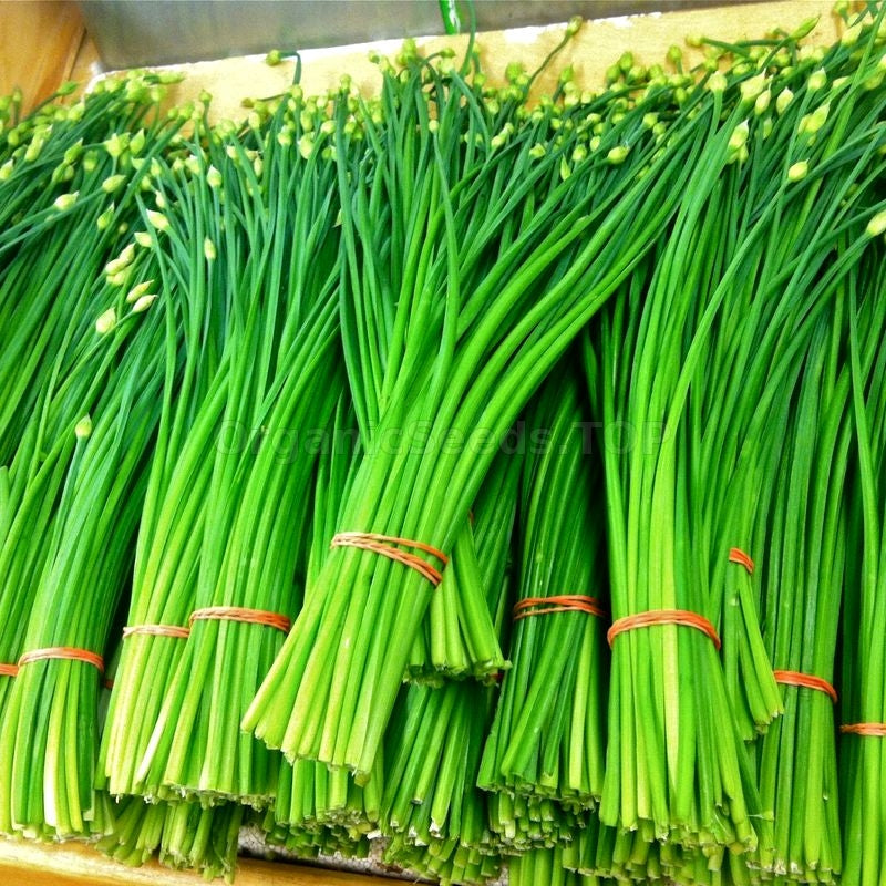 Chinese Leek Seeds – Flowering
