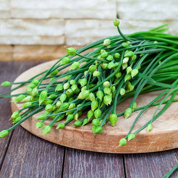 Chinese Leek Seeds – Flowering
