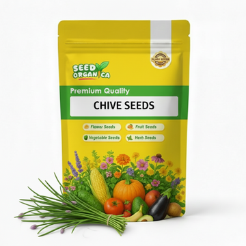 Chive Seeds