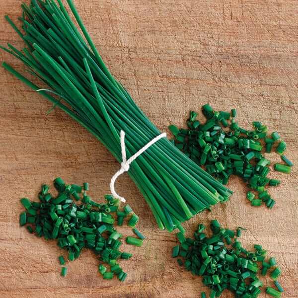 Chive Seeds