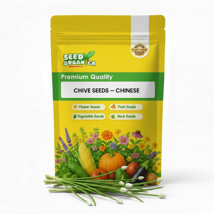 Chive Seeds – Chinese
