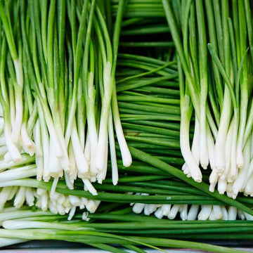 Chive Seeds – Garlic