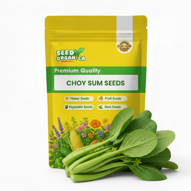 Choy Sum Seeds