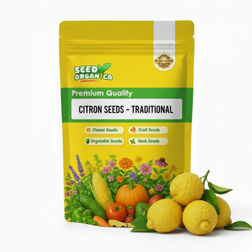 Citron Seeds – Traditional