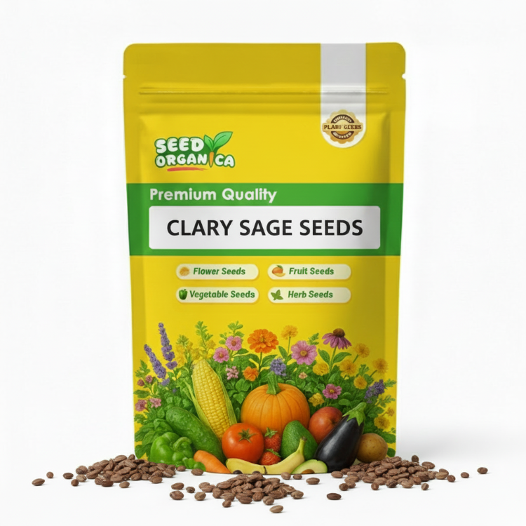 Clary Sage Seeds