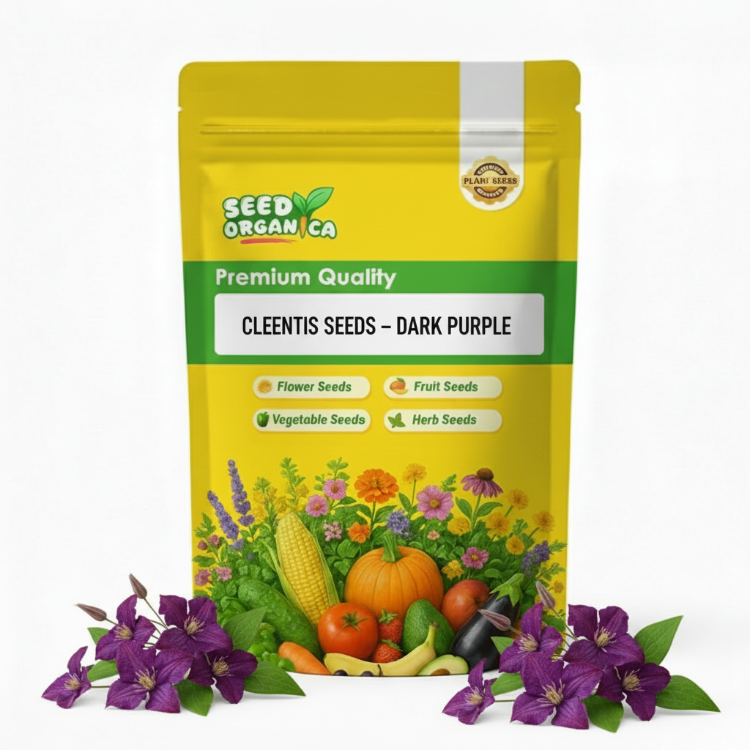 Clematis Seeds – Dark Purple