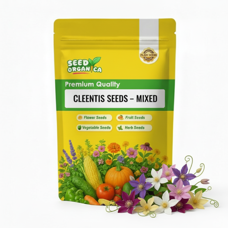 Clematis Seeds – Mixed