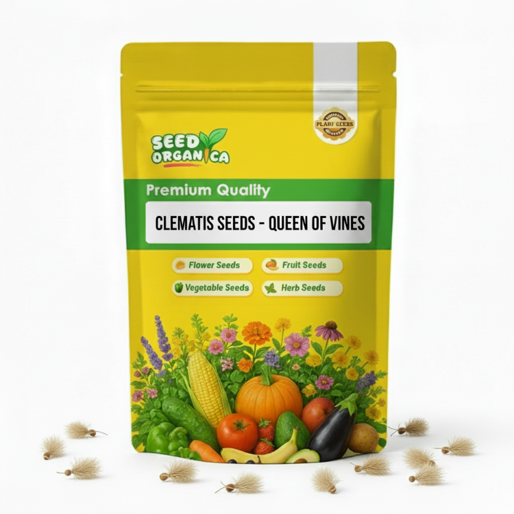 Clematis Seeds – Queen of Vines