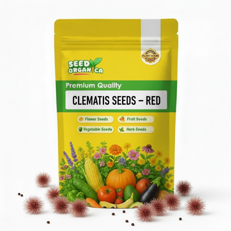 Clematis Seeds – Red