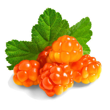 Cloudberry Seeds – Sweet
