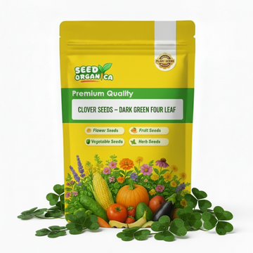 Clover Seeds – Dark Green Four Leaf