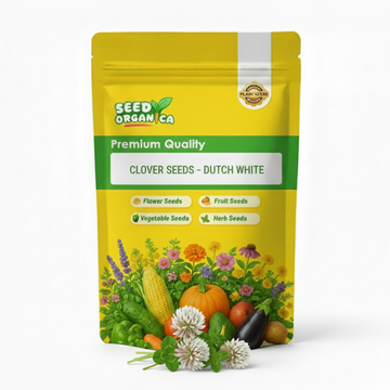 Clover Seeds – Dutch White