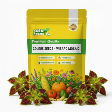 Coleus Seeds – Wizard Mosaic