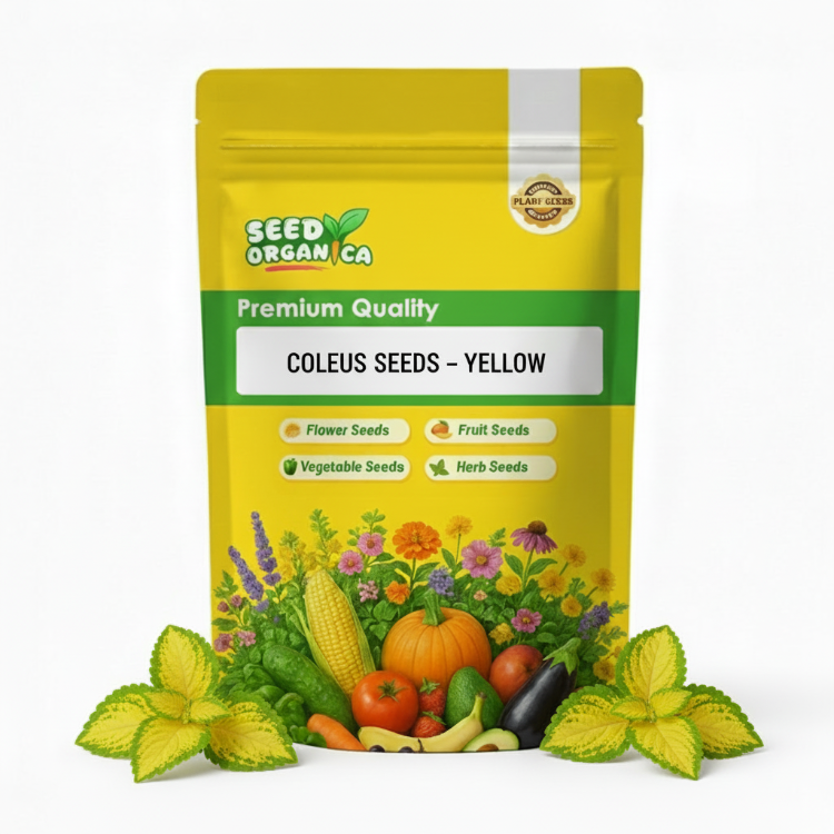Coleus Seeds – Yellow