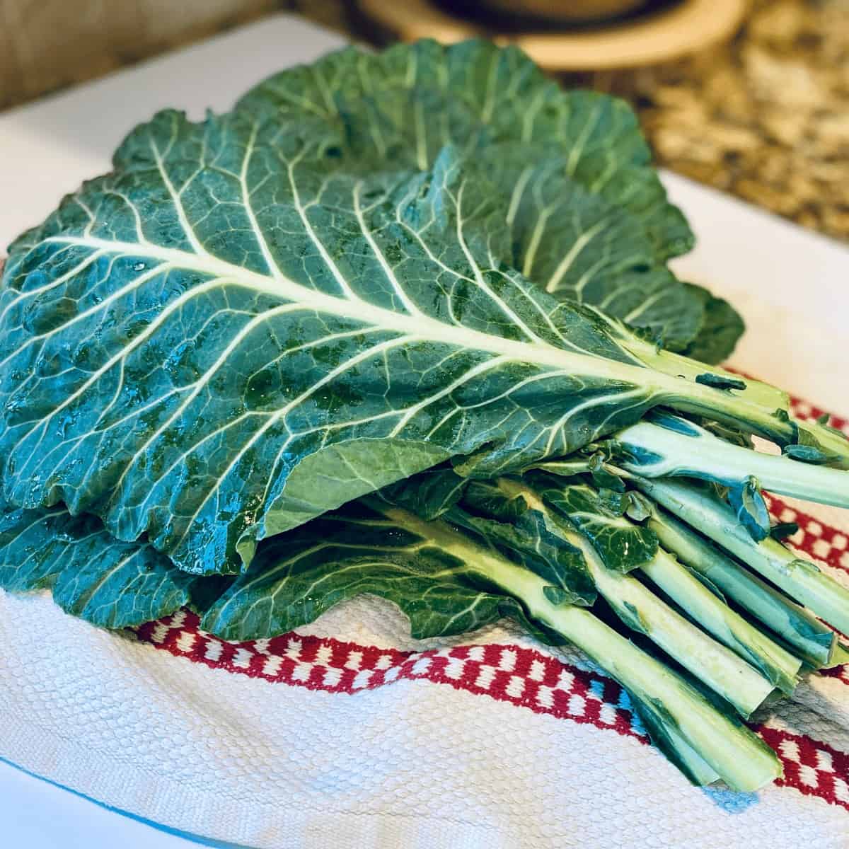 Collard Greens Seeds – Hearty