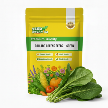Collard Greens Seeds – Green