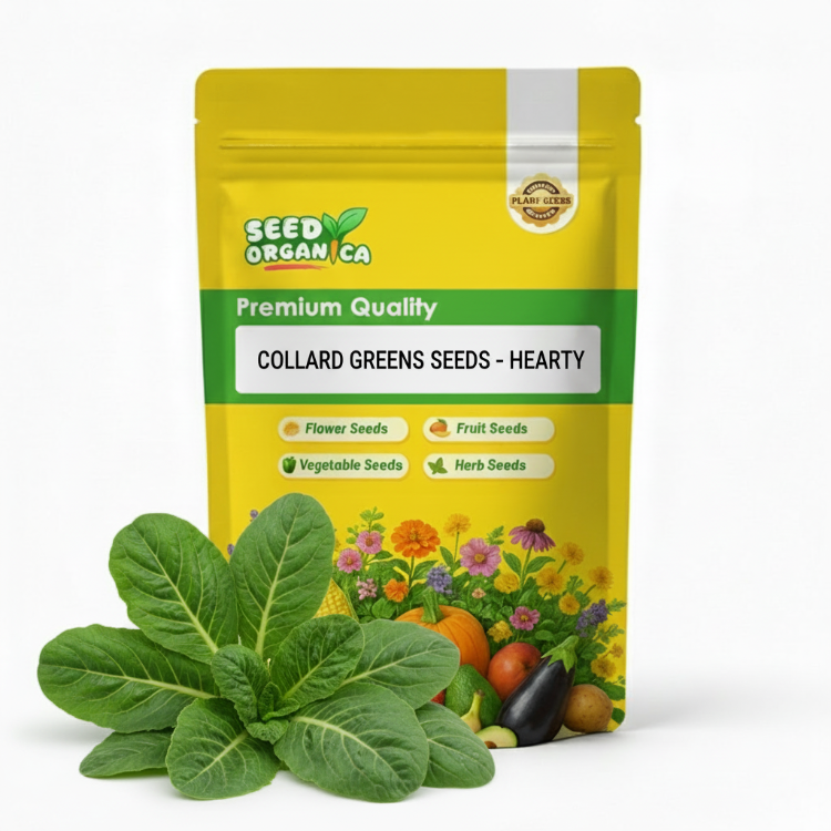 Collard Greens Seeds – Hearty