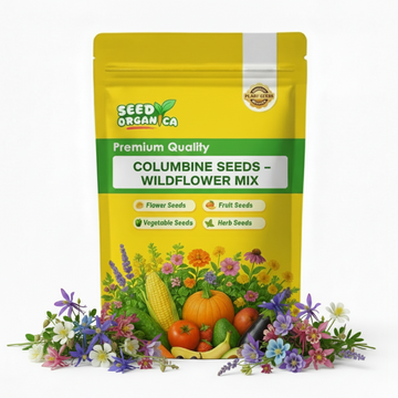 Columbine Seeds – Wildflower  Mix