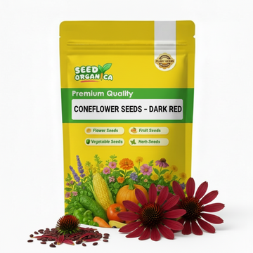 Coneflower Seeds – Dark Red