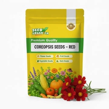 Coreopsis Seeds – Red
