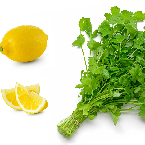 Coriander Seeds – Dwarf Lemon