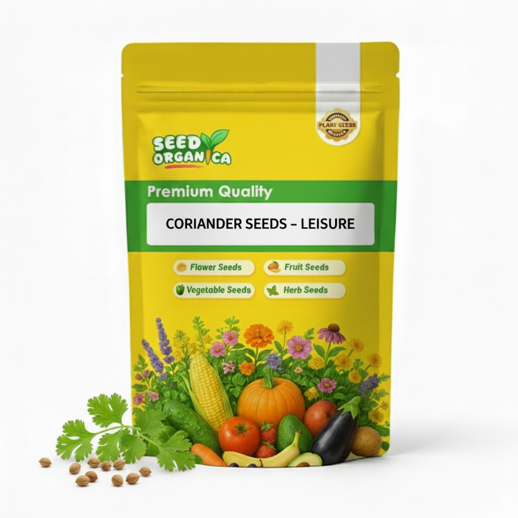 Coriander Seeds – Leisure