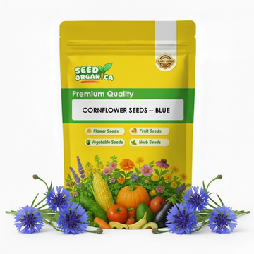 Cornflower Seeds – Blue